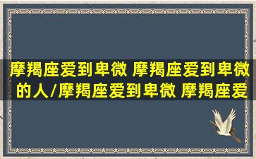 摩羯座爱到卑微 摩羯座爱到卑微的人/摩羯座爱到卑微 摩羯座爱到卑微的人-我的网站